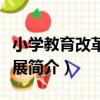 小學教育改革與發展（關于小學教育改革與發展簡介）