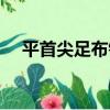 平首尖足布錢（關于平首尖足布錢介紹）