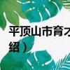 平頂山市育才中學（關于平頂山市育才中學介紹）