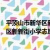 平頂山市新華區新新街小學志愿服務隊（關于平頂山市新華區新新街小學志愿服務隊介紹）
