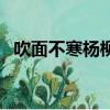 吹面不寒楊柳風的意思（吹面不寒楊柳風）