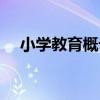 小學教育概論（關于小學教育概論簡介）