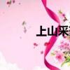 上山采藥材違法嗎（上山采藥）
