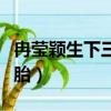 冉瑩穎生下三胎是男是女（冉瑩穎承認生下三胎）