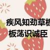 疾風知勁草板蕩識誠臣什么意思（疾風知勁草 板蕩識誠臣）