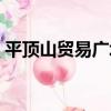 平頂山貿易廣場（關于平頂山貿易廣場介紹）