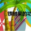 鐵樹果的功效與作用及食用方法浙江省