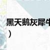 黑天鵝灰犀牛是什么意思（灰犀牛是什么意思）