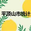 平頂山市統計局（關于平頂山市統計局介紹）