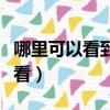 哪里可以看到李佳琪直播啊（李佳琪直播哪里看）