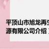 平頂山市旭龍再生資源有限公司（關于平頂山市旭龍再生資源有限公司介紹）