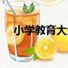 小學教育大全（關于小學教育大全簡介）