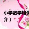 小學數學培優競賽（關于小學數學培優競賽簡介）