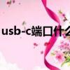 usb-c端口什么意思（usb c接口是什么意思）