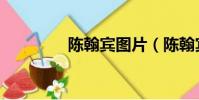 陳翰賓圖片(陳翰賓左娜)
