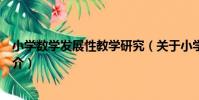 小學數學發展性教學研究(關于小學數學發展性教學研究簡介)