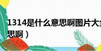 1314是什么意思啊圖片大全(1314是什么意思啊)