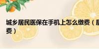 城鄉居民醫保在手機上怎么繳費(居民醫保在手機上怎么繳費)
