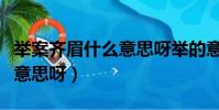舉案齊眉什么意思呀舉的意思(舉案齊眉什么意思呀)