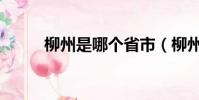 柳州是哪個省市(柳州是哪個省)