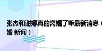 張杰和謝娜真的離婚了嘛最新消息(張杰謝娜什么時候離的婚 新聞)