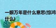 一眼萬年是什么意思(驚鴻一瞥一眼萬年是指什么)