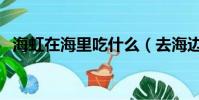 海虹在海里吃什么(去海邊不要食用海虹)
