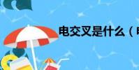 電交叉是什么(電交)