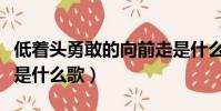 低著頭勇敢的向前走是什么歌(勇敢的向前走是什么歌)
