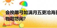 會挽雕弓如滿月五更滄海日三竿,猜是什么動物咁悠閑?