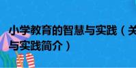 小學教育的智慧與實踐(關于小學教育的智慧與實踐簡介)