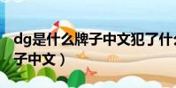 dg是什么牌子中文犯了什么錯(dg是什么牌子中文)