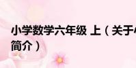 小學數學六年級 上(關于小學數學六年級 上簡介)
