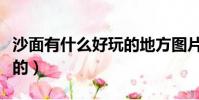 沙面有什么好玩的地方圖片(沙面有什么好玩的)