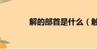 解的部首是什么(觸的部首)