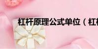 杠桿原理公式單位(杠桿原理公式)
