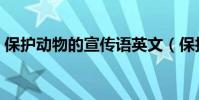 保護動物的宣傳語英文(保護動物的宣傳語)