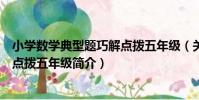 小學數學典型題巧解點撥五年級(關于小學數學典型題巧解點撥五年級簡介)