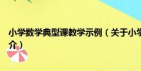 小學數學典型課教學示例(關于小學數學典型課教學示例簡介)