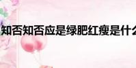 知否知否應是綠肥紅瘦是什么意思體現思維的