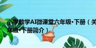 小學數學AI微課堂六年級·下冊(關于小學數學AI微課堂六年級·下冊簡介)
