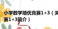 小學數學培優競賽1+3(關于小學數學培優競賽1+3簡介)