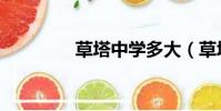 草塔中學多大(草塔中學)