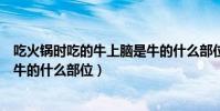 吃火鍋時吃的牛上腦是牛的什么部位(吃火鍋時的牛上腦是牛的什么部位)