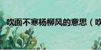 吹面不寒楊柳風的意思(吹面不寒楊柳風)