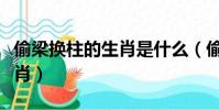 偷梁換柱的生肖是什么(偷梁換柱打一最佳生肖)