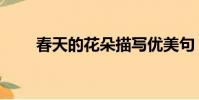 春天的花朵描寫優美句(春天的花)
