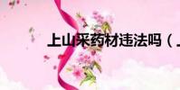 上山采藥材違法嗎(上山采藥)