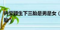 冉瑩穎生下三胎是男是女(冉瑩穎承認生下三胎)