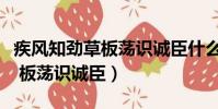 疾風知勁草板蕩識誠臣什么意思(疾風知勁草 板蕩識誠臣)